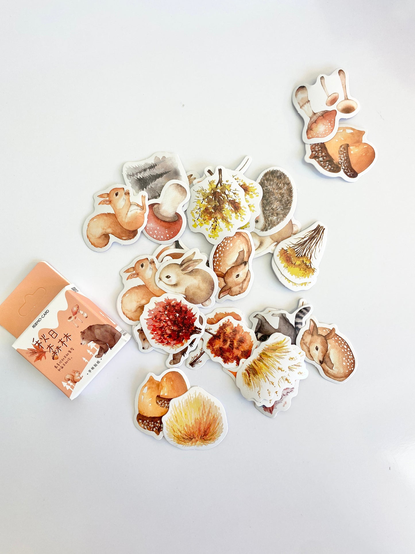 Fall Autumn Die Cut Stickers