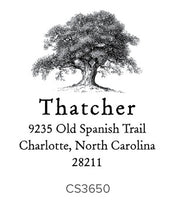 Load image into Gallery viewer, Custom Address Stamp CS3650