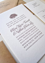 Load image into Gallery viewer, Olivia