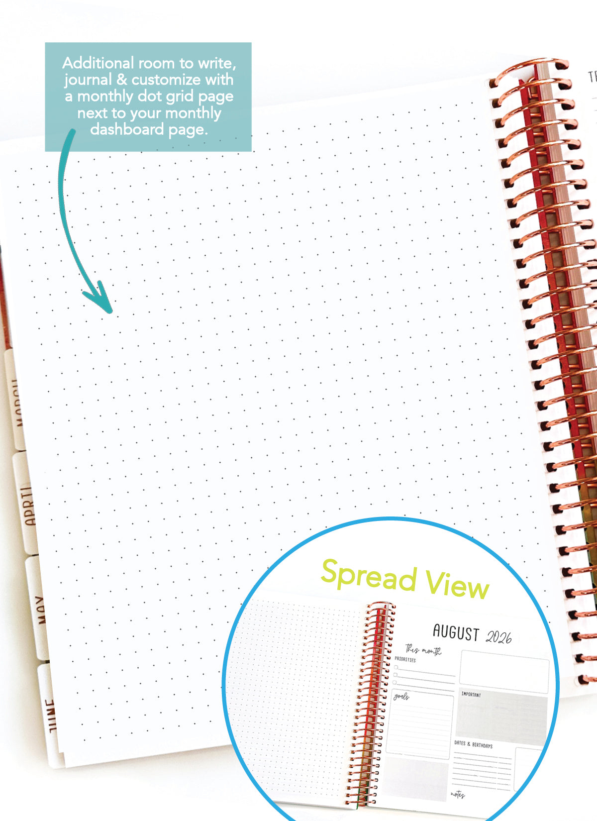 2026 Planner - Signature Layout, Spiral Bound - "Aurora" (#206)