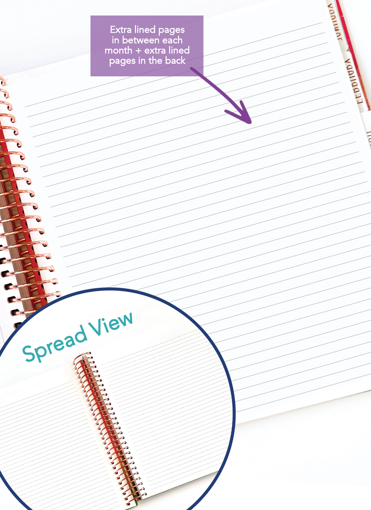 2026 Planner - Horizontal Layout, Spiral Bound - "Teal" (#108)