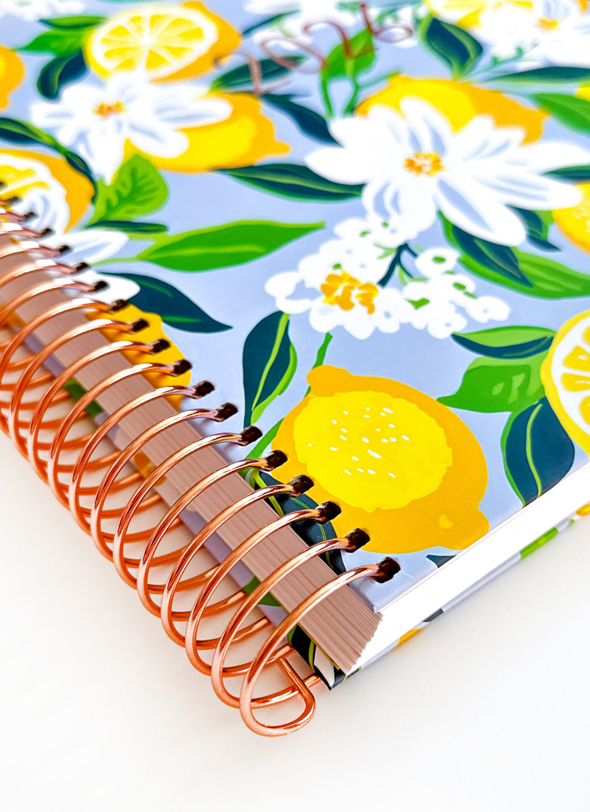 2026 Planner - Vertical Layout, Spiral Bound - "Sorrento" (#301)