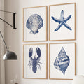 Set of 4 Art Prints. Starfish, Lobster, Seashell