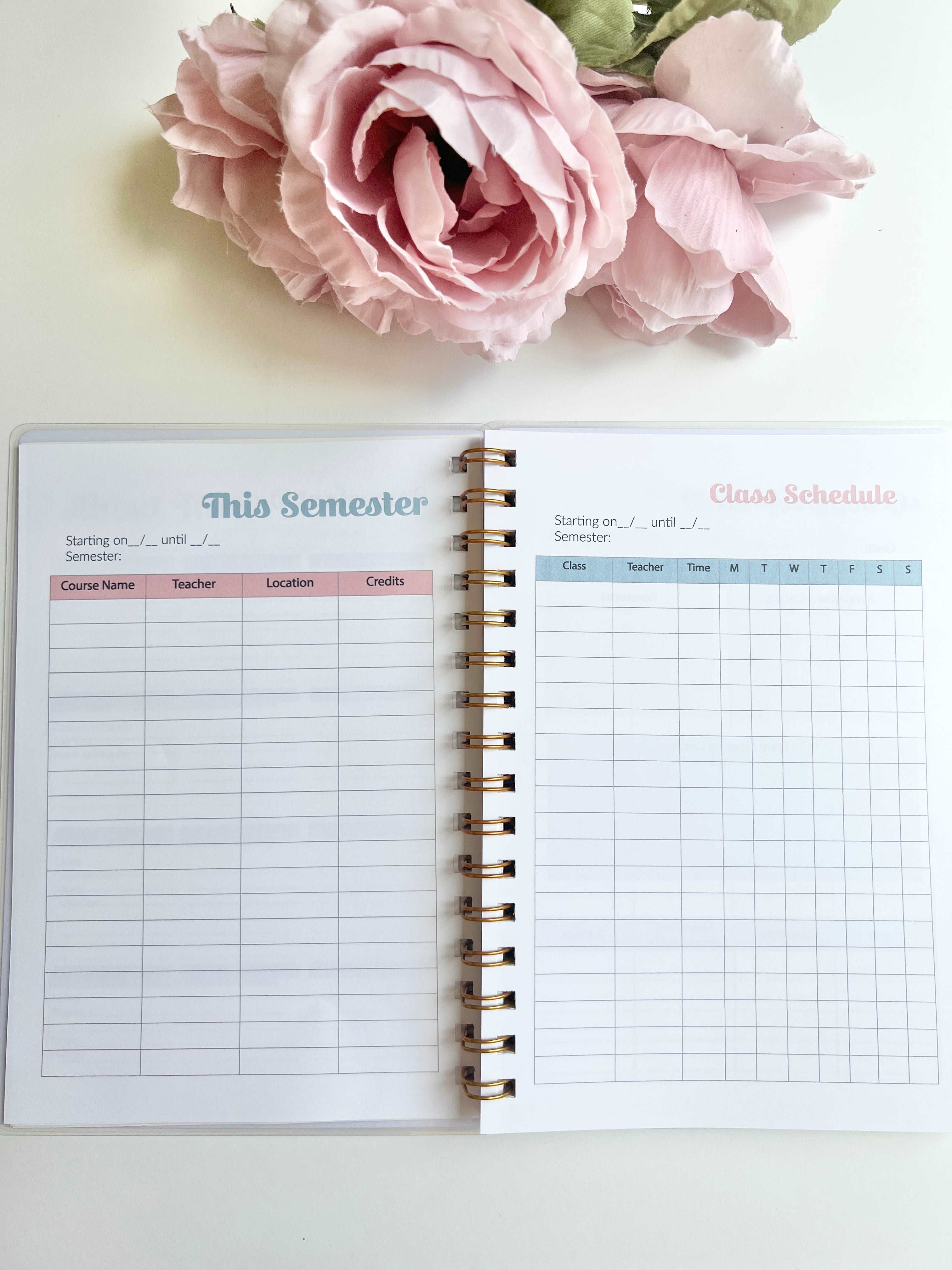 Academic Blue and Pink Gingham Wire-O A5 size Planner