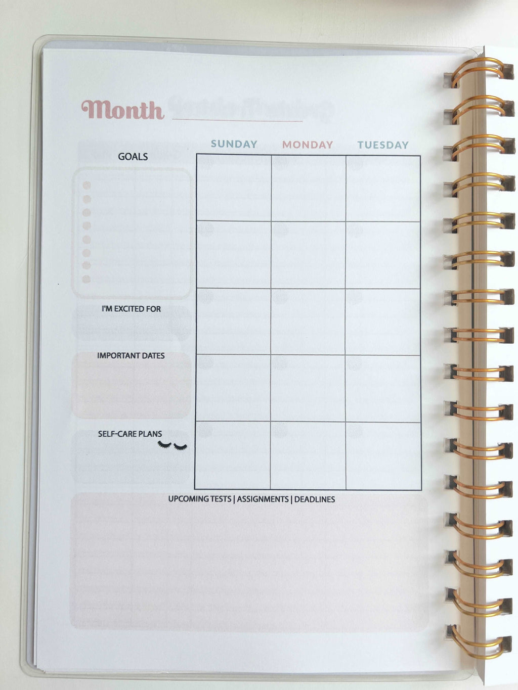 Academic Blue and Pink Gingham Wire-O A5 size Planner