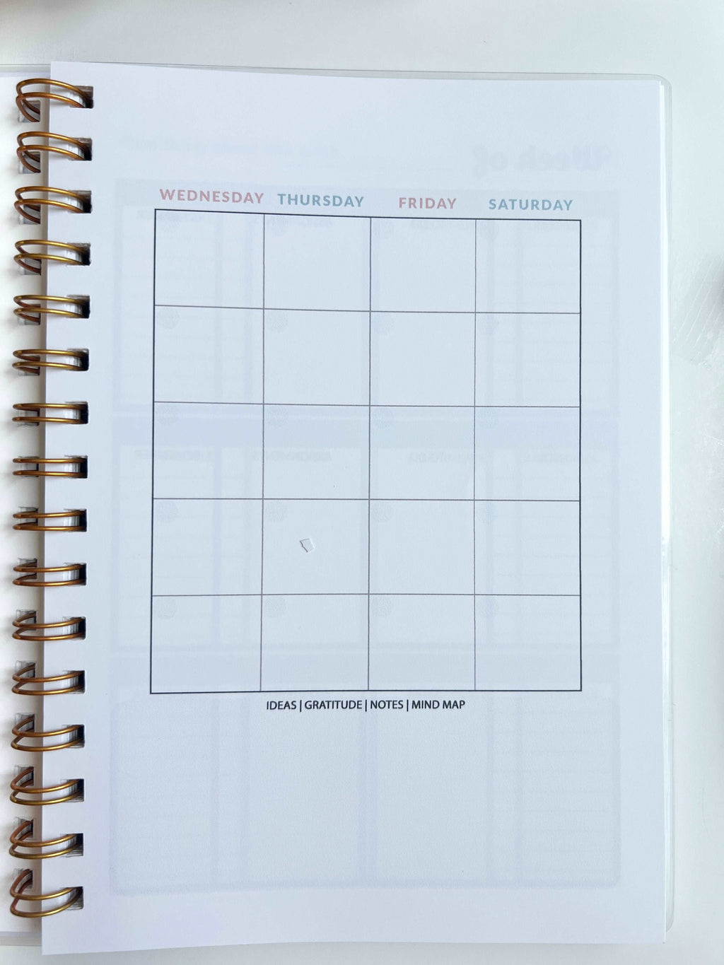 Academic Blue and Pink Gingham Wire-O A5 size Planner