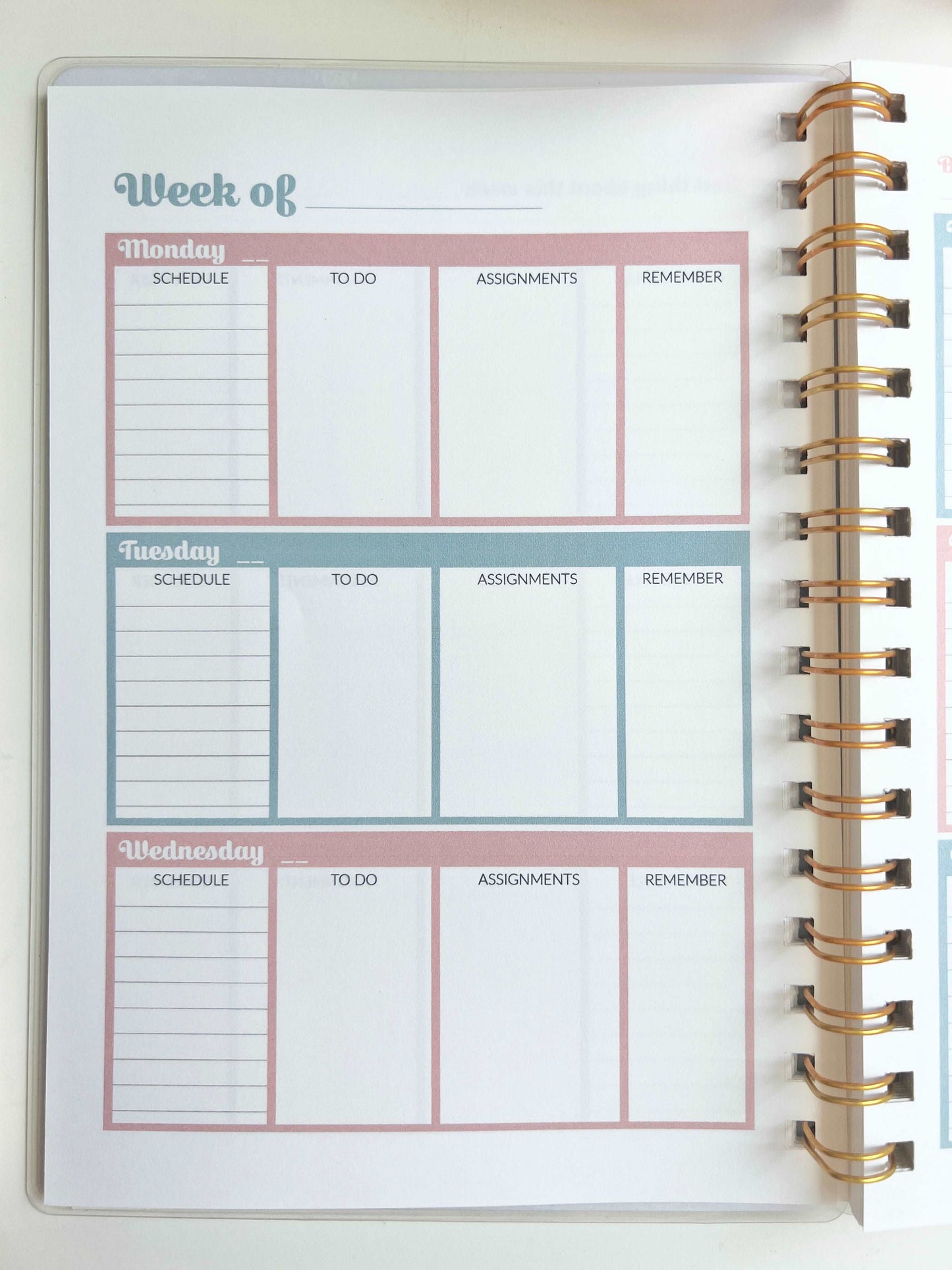 Academic Blue and Pink Gingham Wire-O A5 size Planner