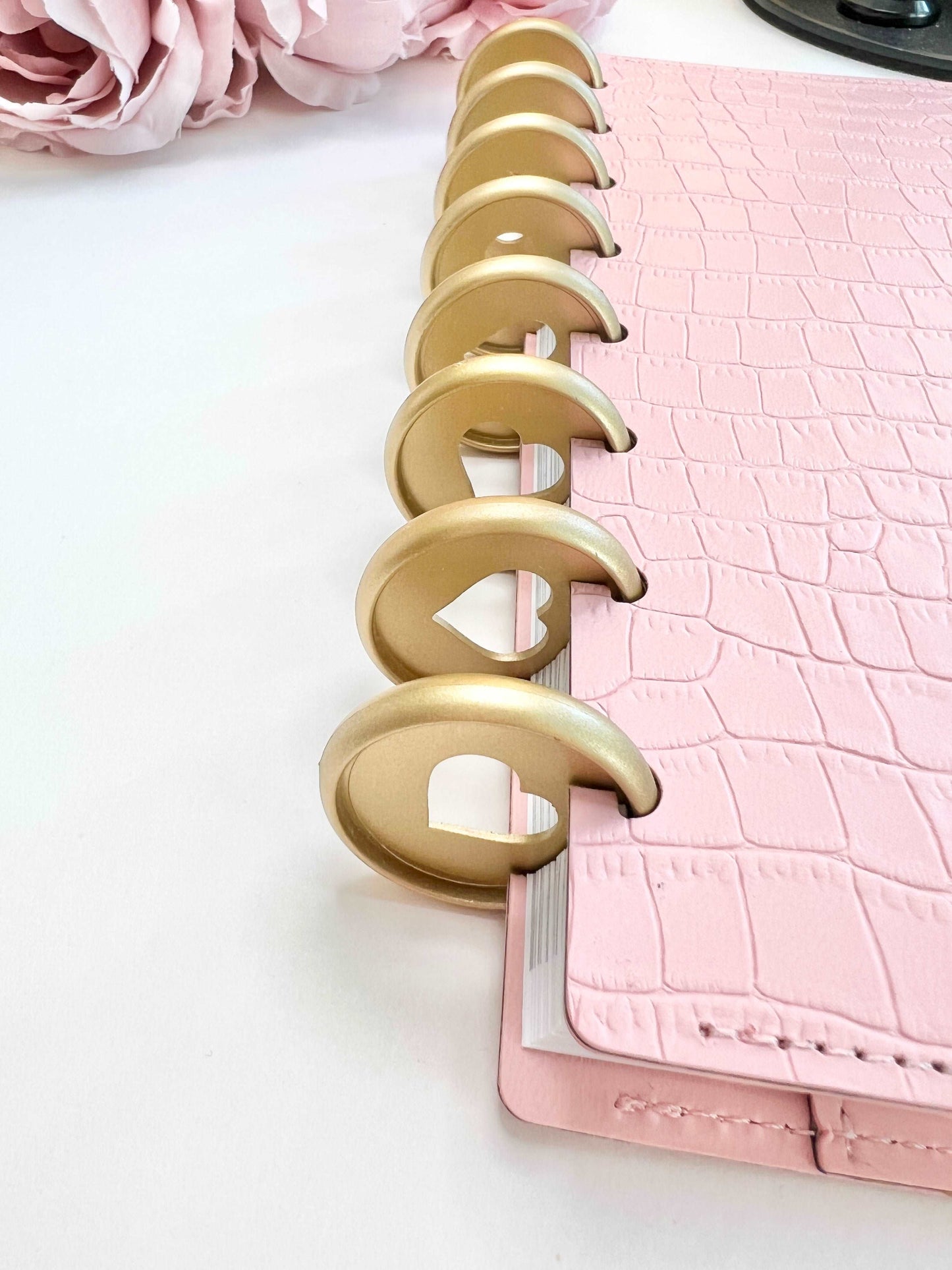 2026 Weekly and Monthly Discbound Planner