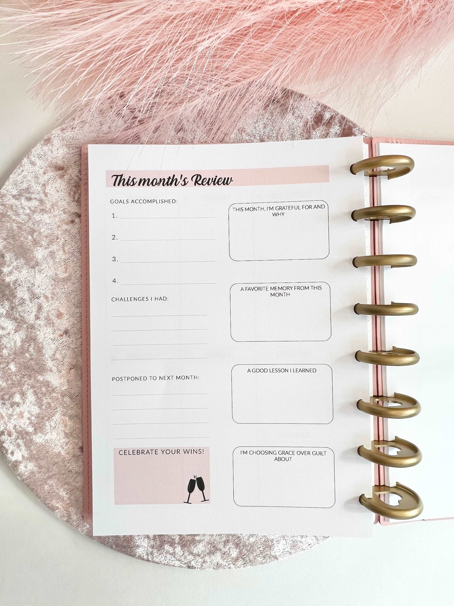 2026 Weekly and Monthly Discbound Planner - Laminated Cover