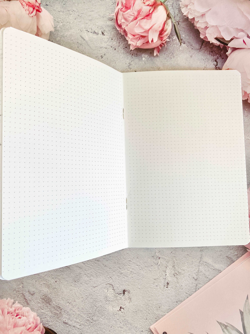 Be Fabulous B6 Traveler's Notebook Inserts