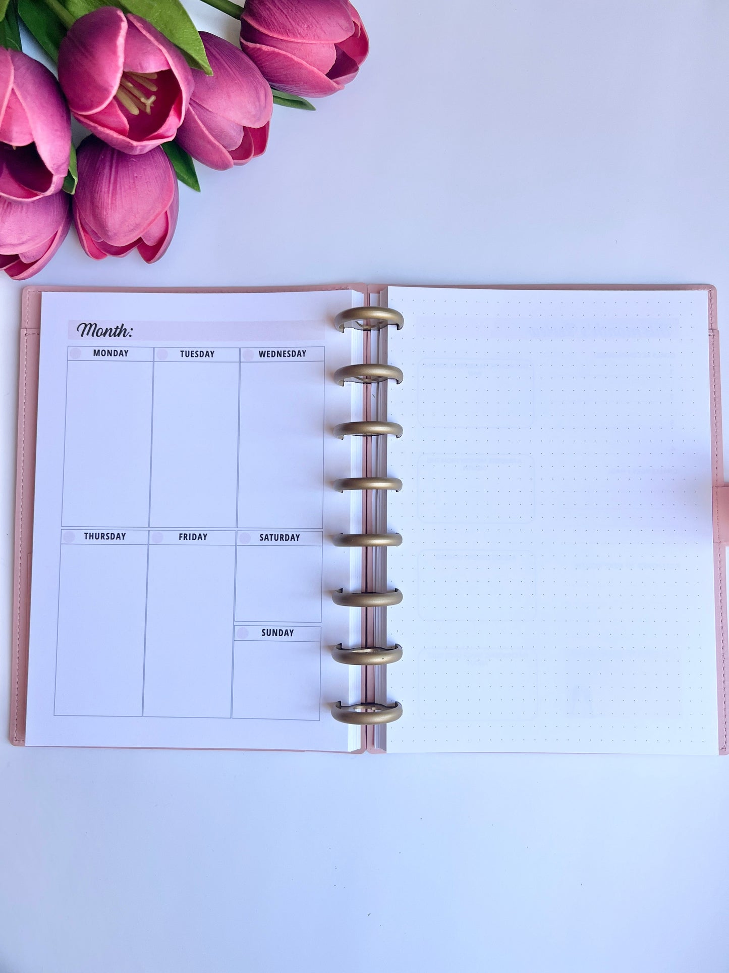 2026 Weekly and Monthly Discbound Planner - Laminated Cover