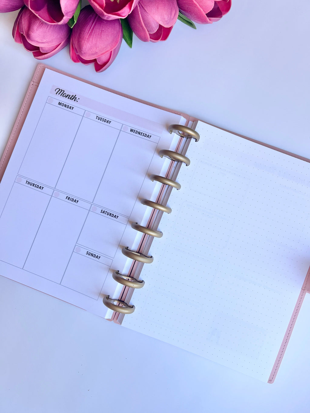 2026 Weekly and Monthly Discbound Planner - Laminated Cover