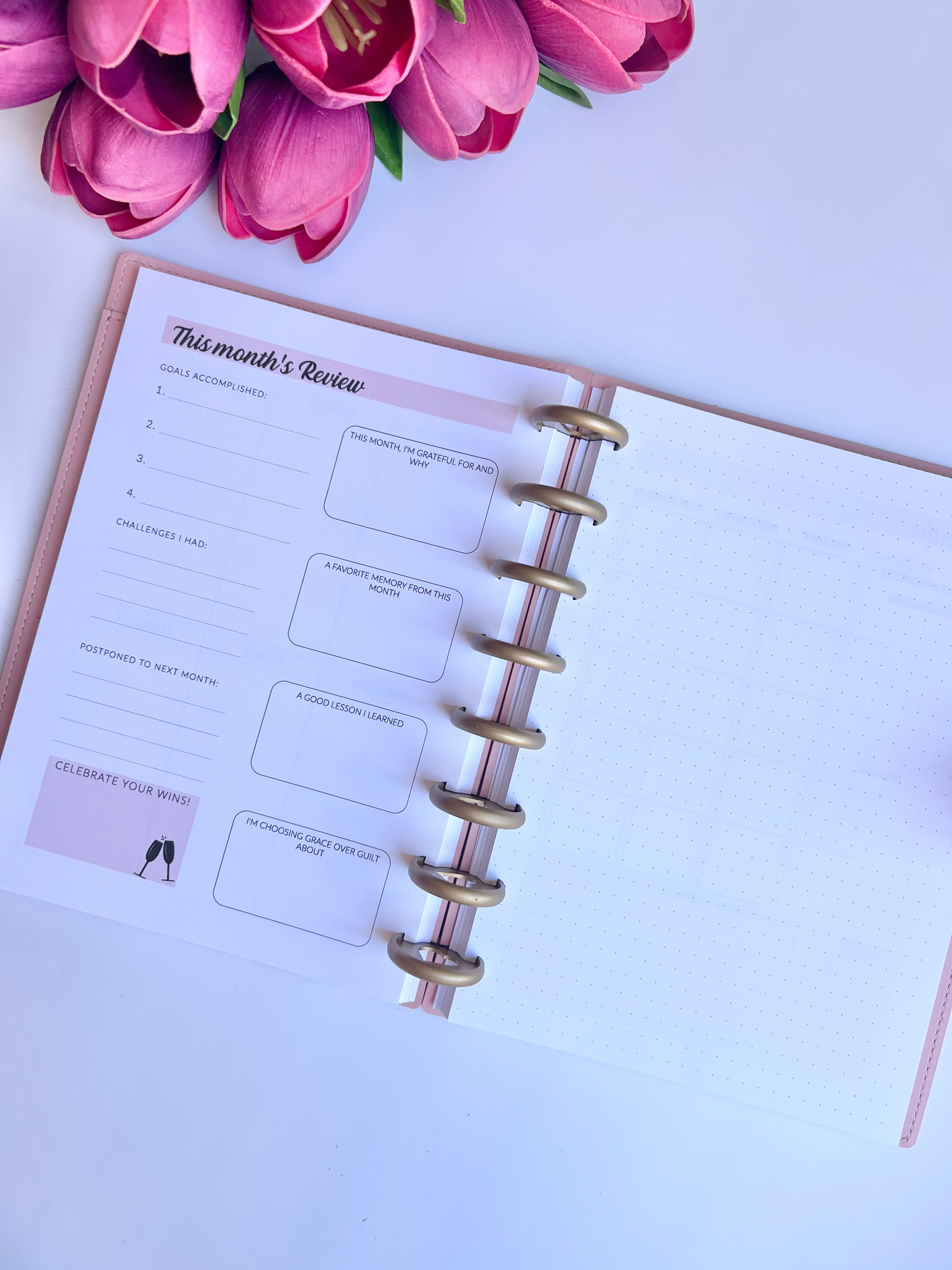 2026 Weekly and Monthly Discbound Planner - Laminated Cover