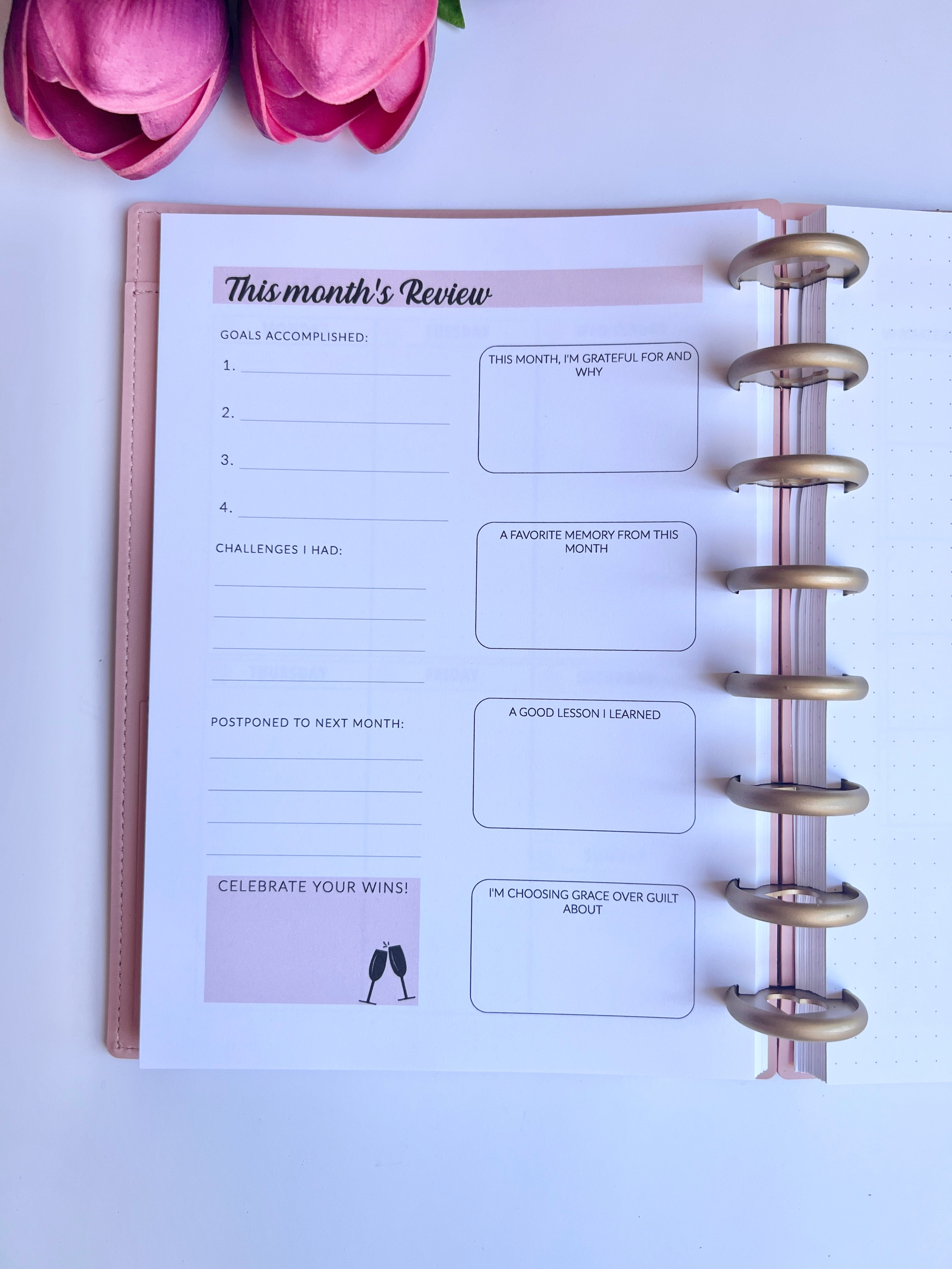2026 Weekly and Monthly Discbound Planner