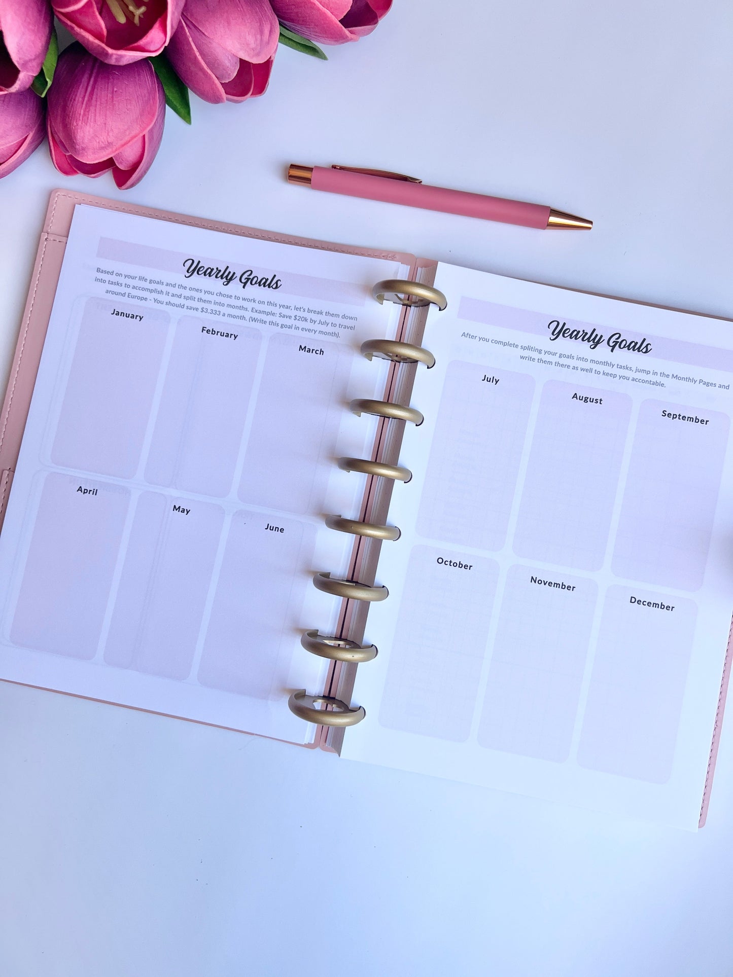 2026 Weekly and Monthly Discbound Planner