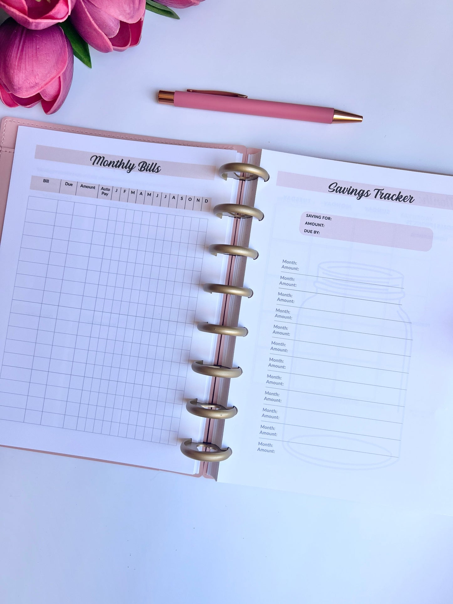 2026 Weekly and Monthly Discbound Planner