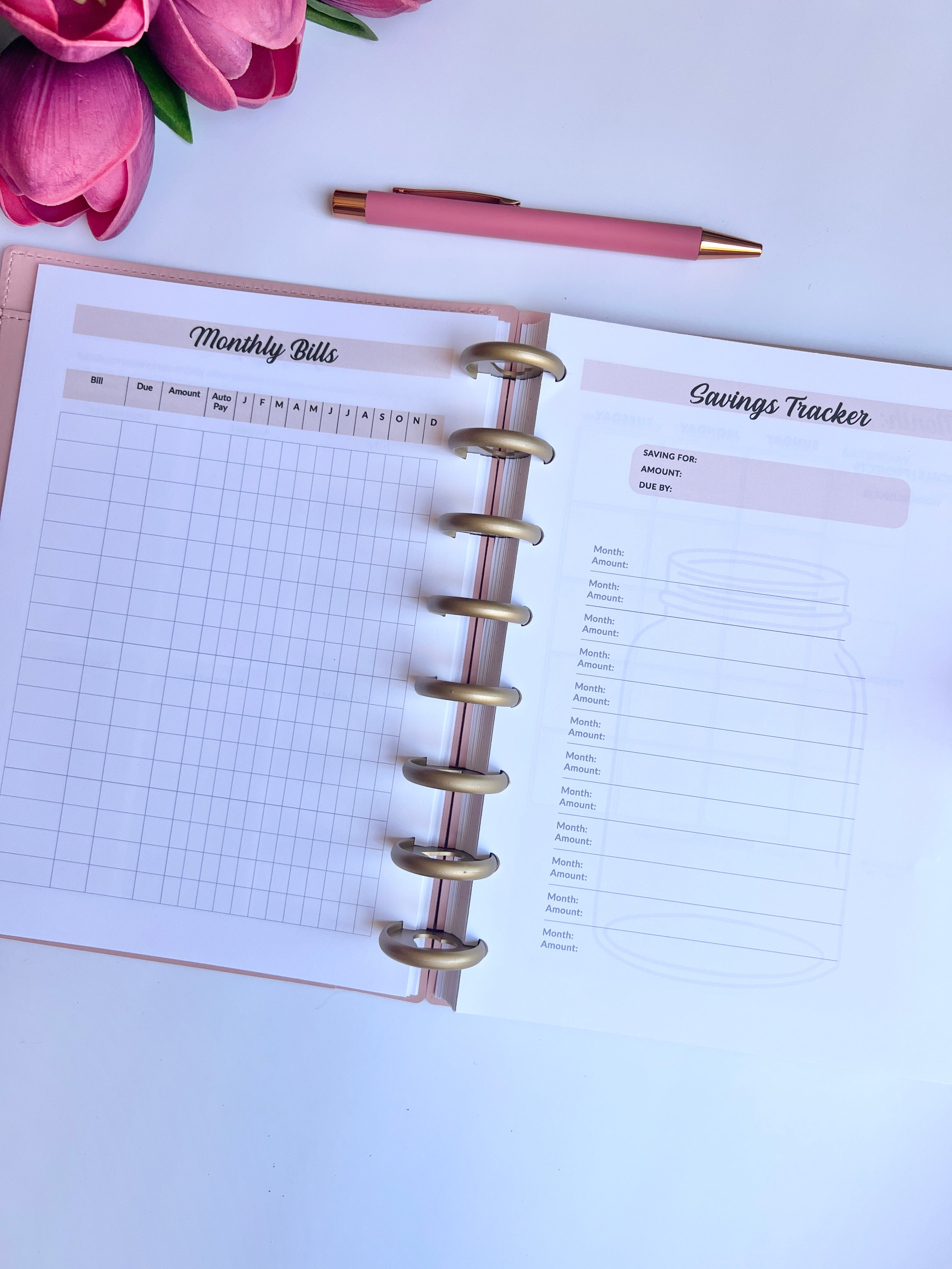 2026 Weekly and Monthly Discbound Planner - Laminated Cover