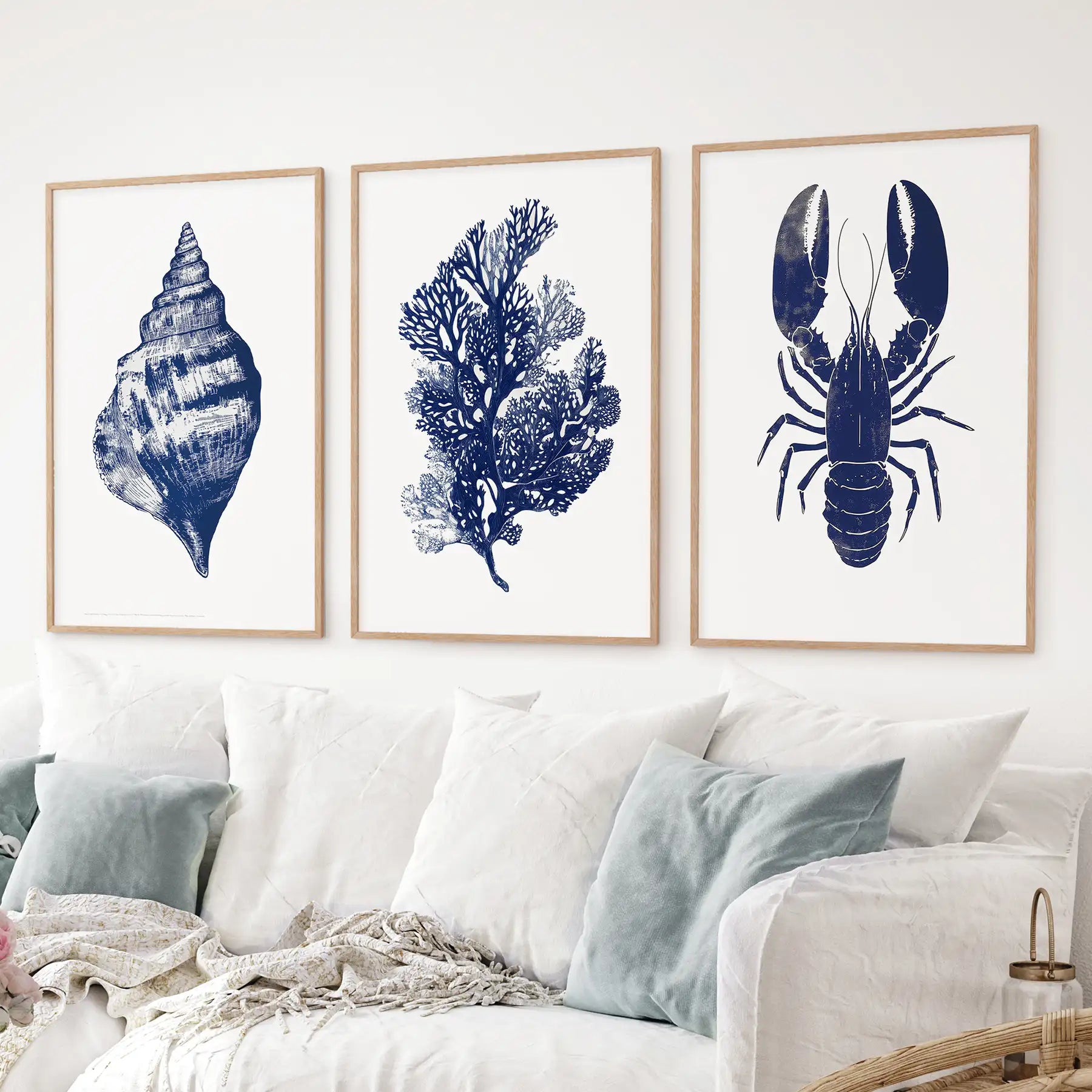 Sea Life Set of 3. Coral, Shell, Lobster Art Poster