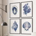 Nautical Art Seashell, Coral Prints. Set of 4 print