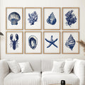 Set of 8 Nautical Prints. Starfish, Shell, Seaweed, Lobster