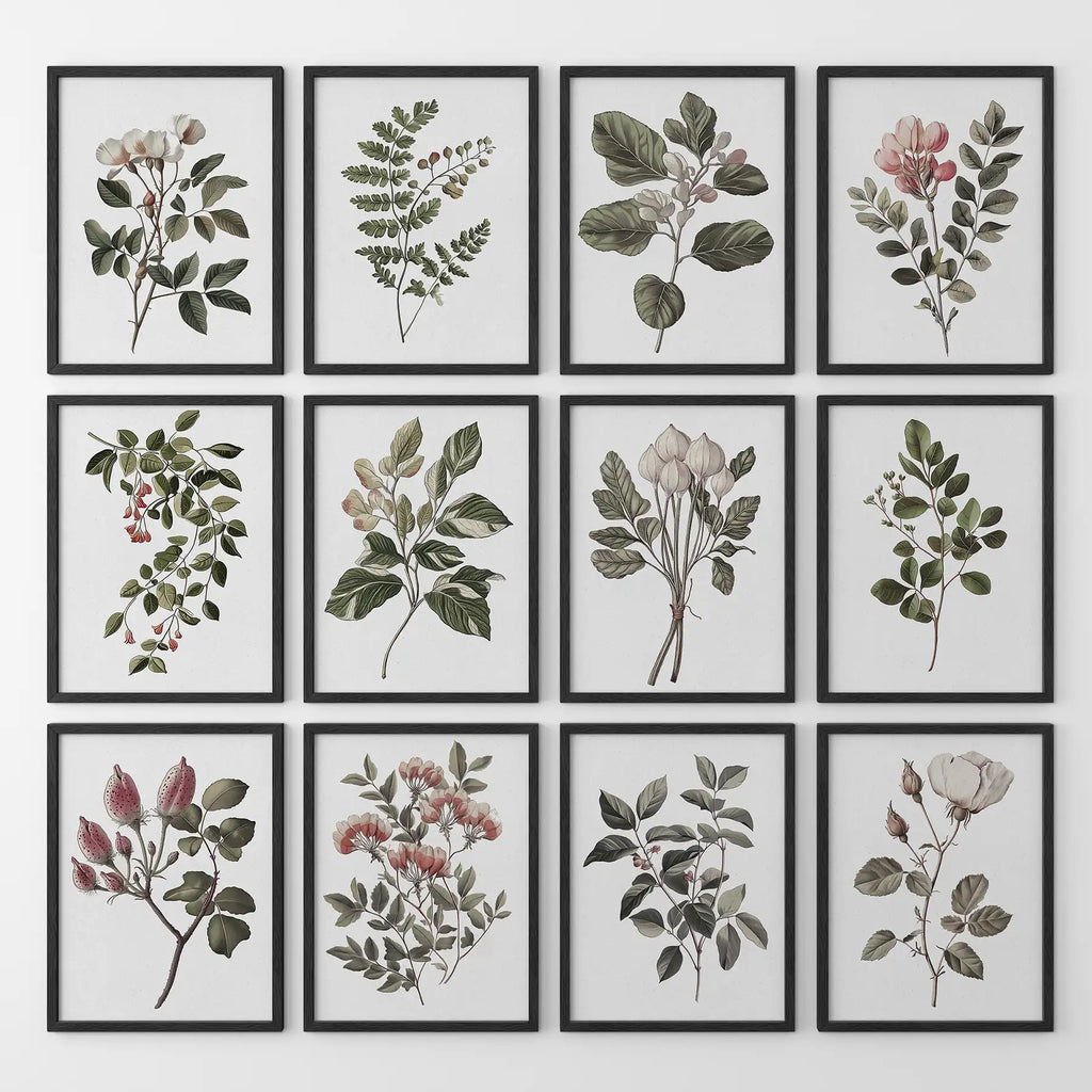 Magnolia, Fuchsia, Fig Plant Prints. Green Set of 12 Wall Art