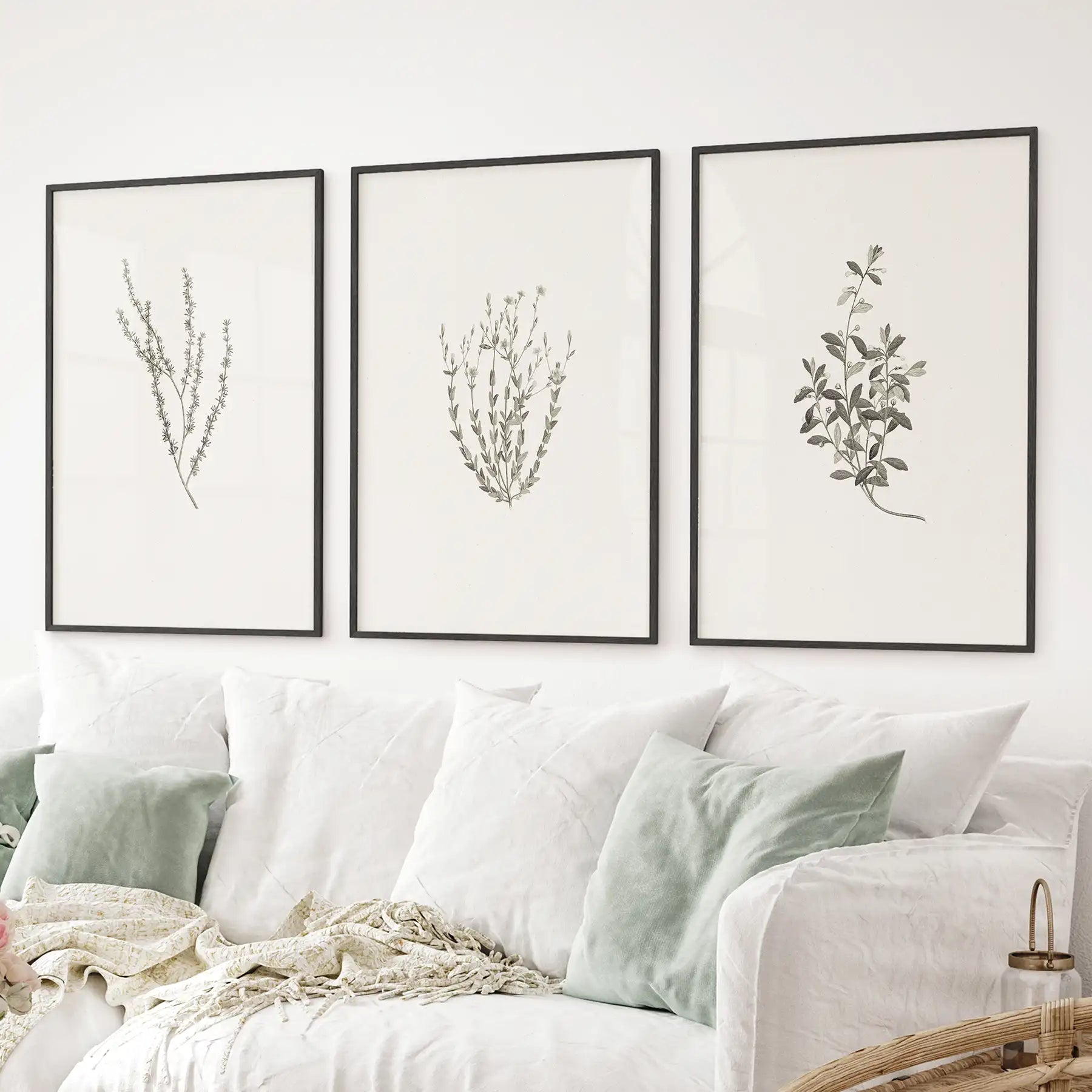 Vintage Botanical 3 Piece Wall Decor. Rustic Dried Flower Prints