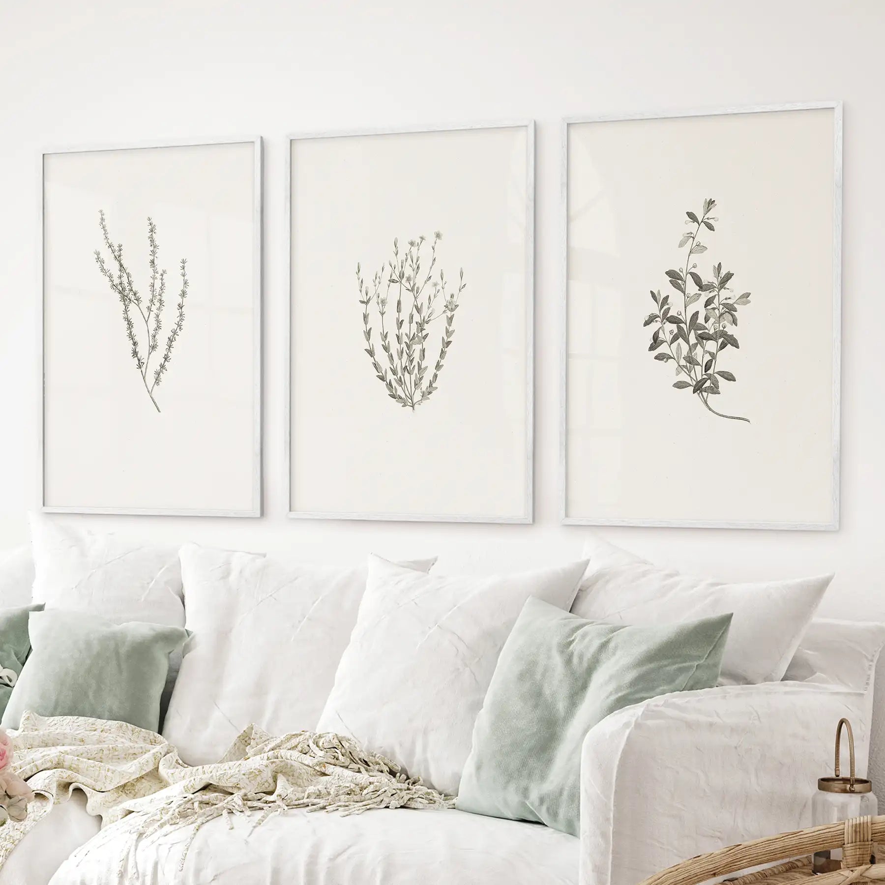 Vintage Botanical 3 Piece Wall Decor. Rustic Dried Flower Prints