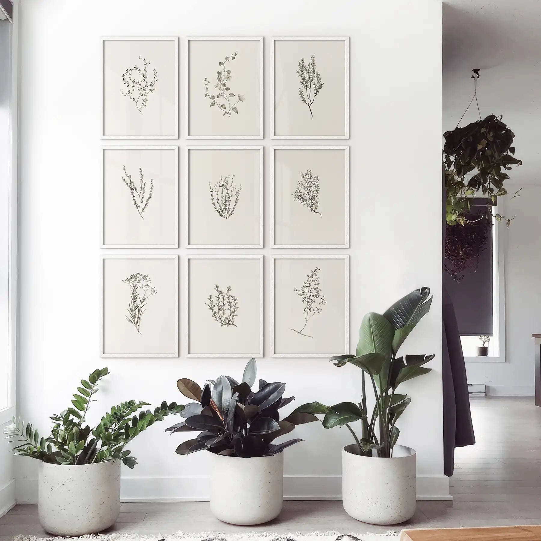 Botanical Wall Art Set of 9. Vintage Herbal Plant Prints