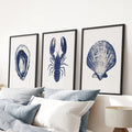 Lobster, Shell Nautical Prints.Coastal Set of 3 Piece