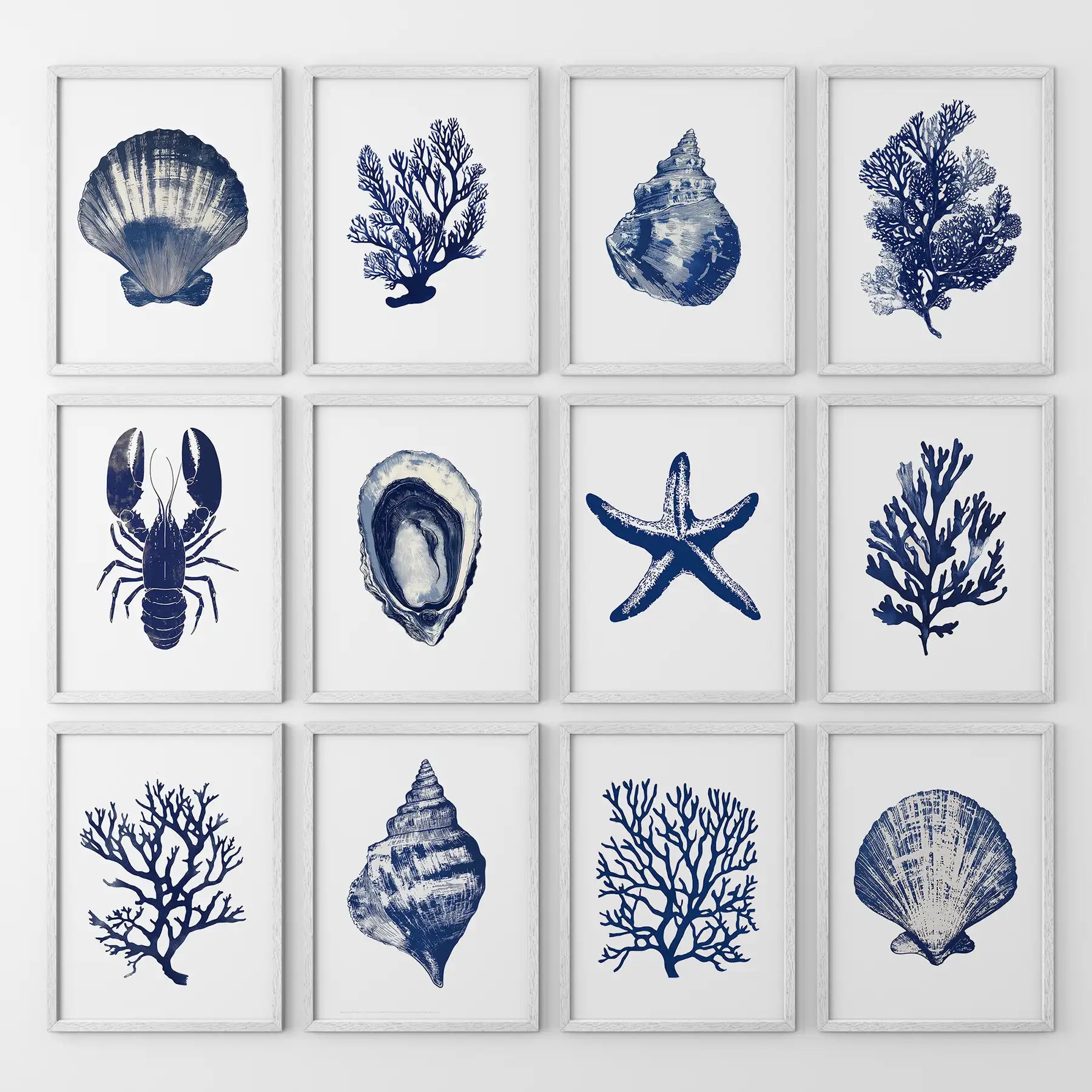Bundle Coral, Shell, Lobster Wall Art. Set of 12 Artwork