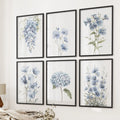 Blue Hydrangea, Wisteria, Flax Flowers Art. Set of 6 Prints