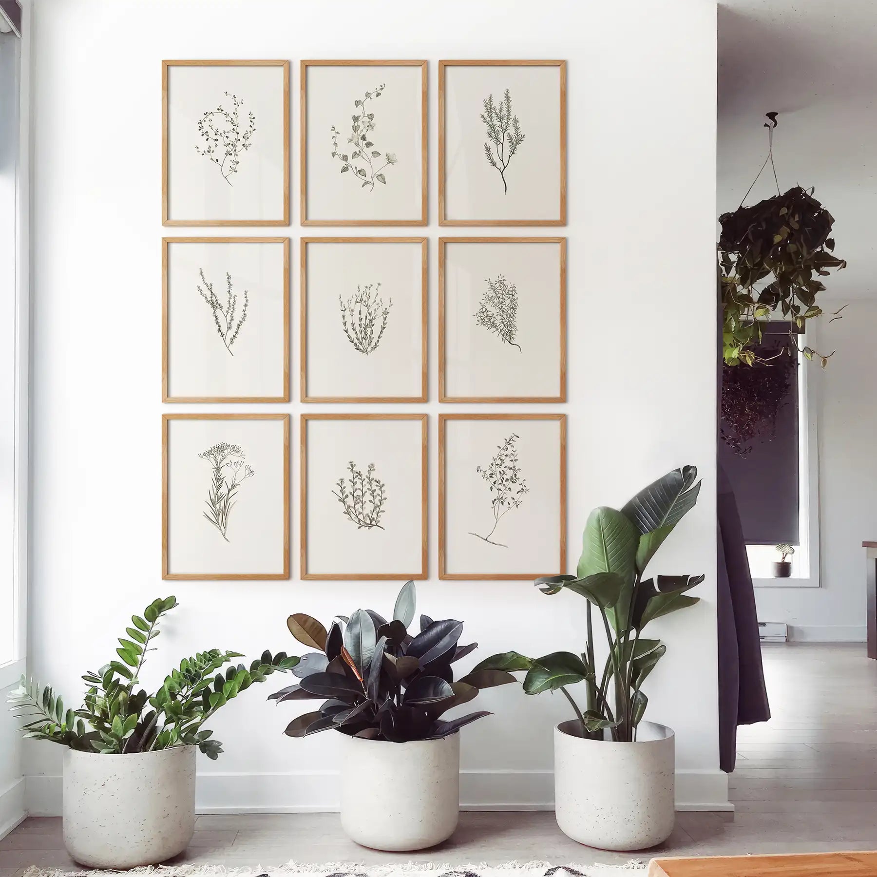 Botanical Wall Art Set of 9. Vintage Herbal Plant Prints