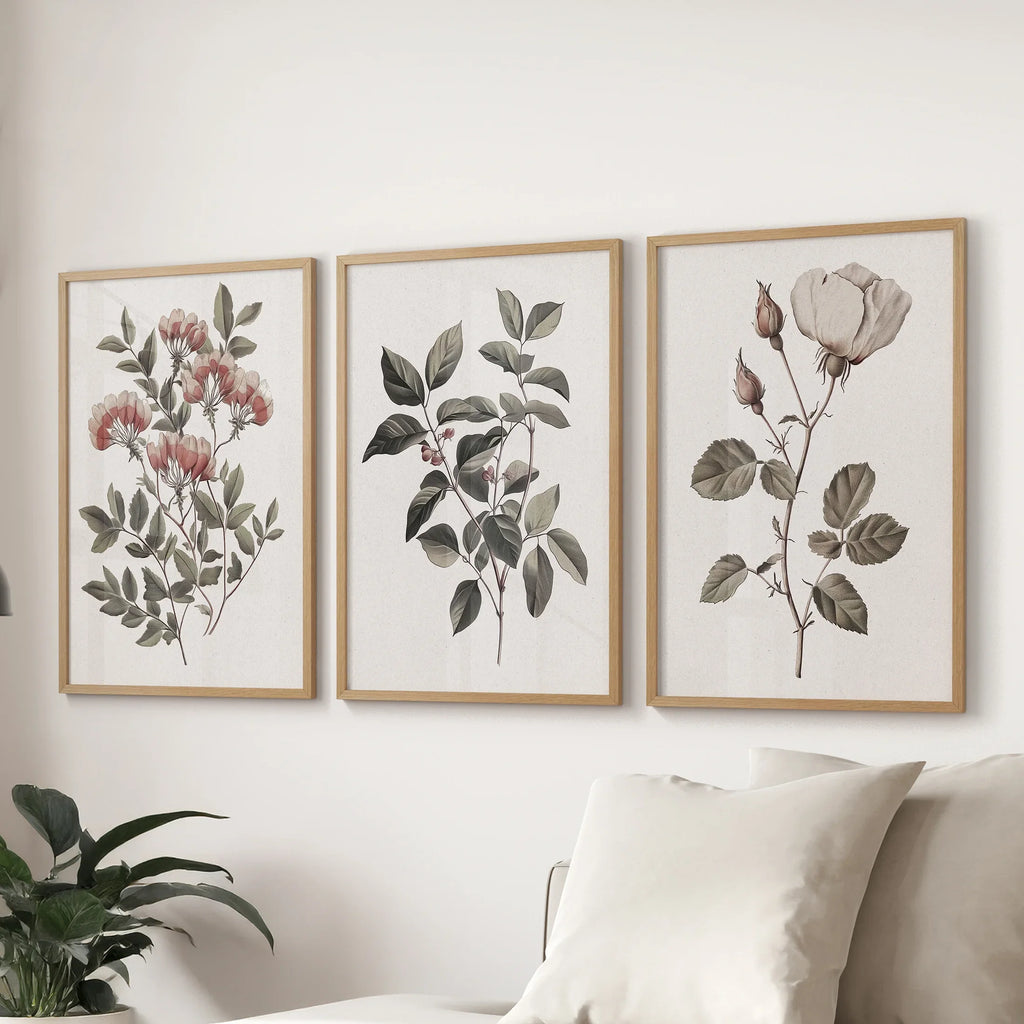 Set of 3 Floral Posters. Rose Flower Vintage Wall Art