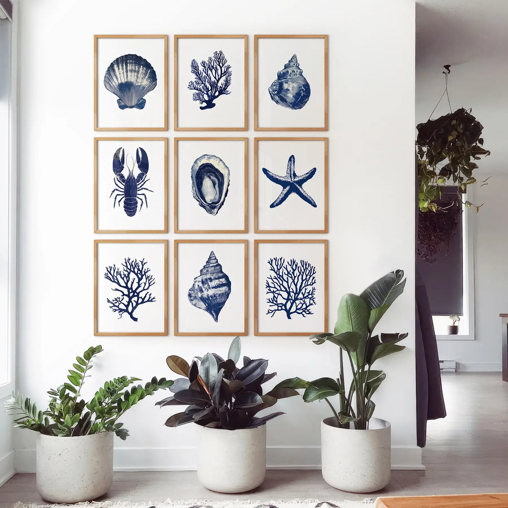 Set of 9 Coastal Prints. Lobster, Starfish, Seaweed, Shell