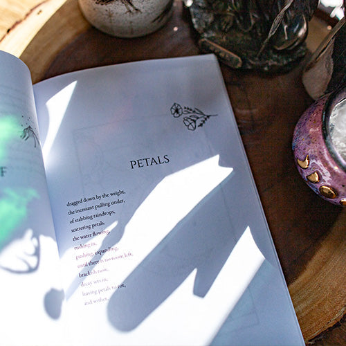 Conversations with the Moon: A Collection of Poems on Grief, Inspiration, and Hope