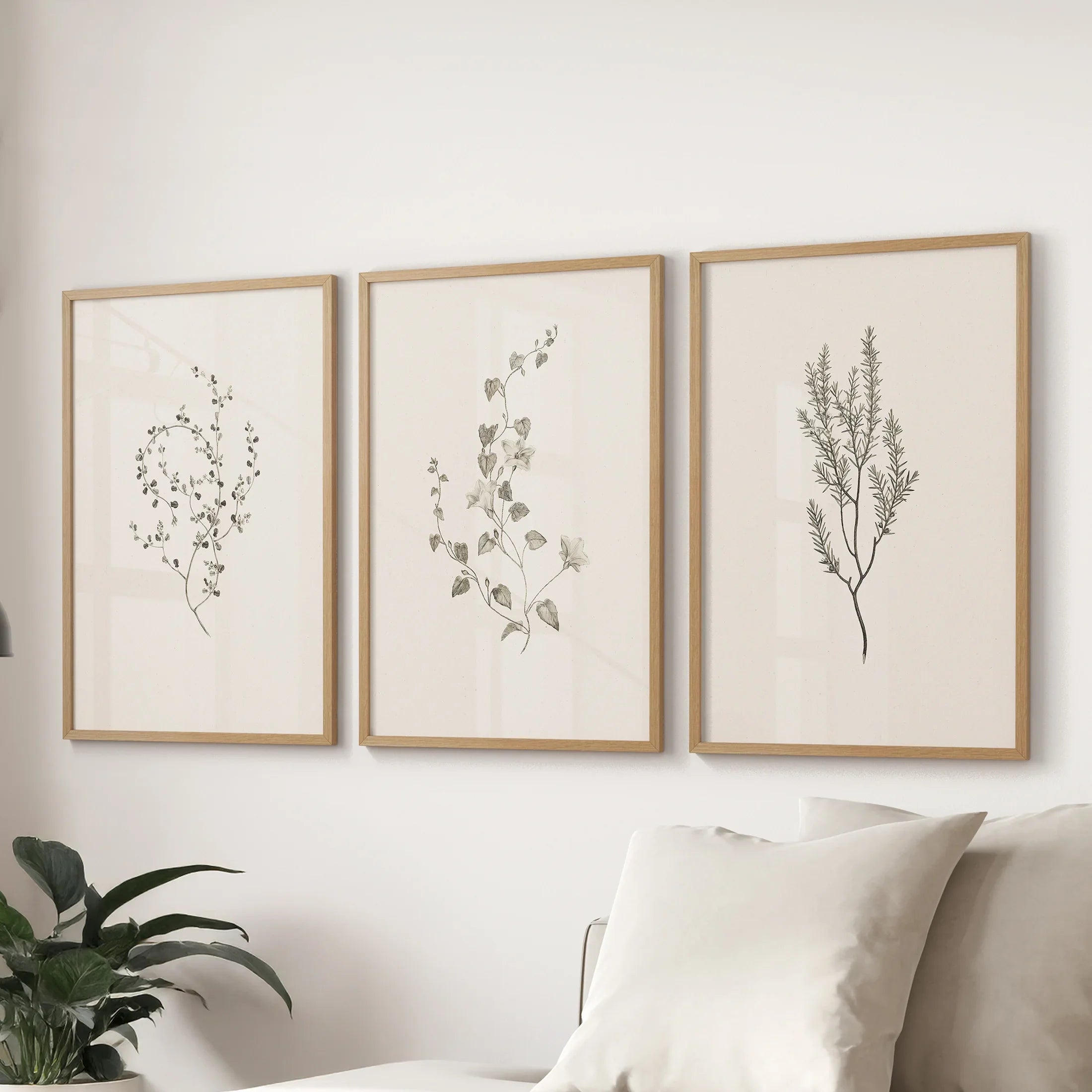 Vintage Dried Flower Wall Art. Set of 3 Rustic Botanical Prints