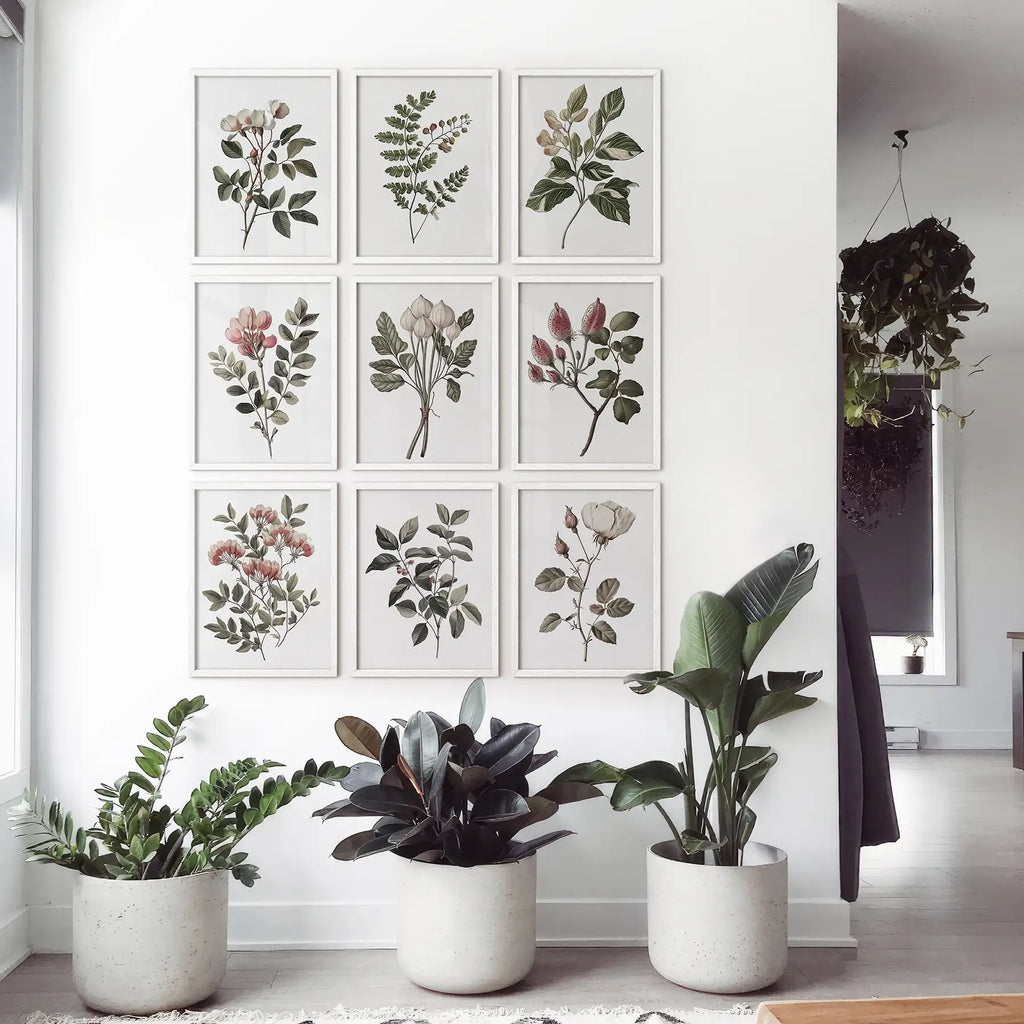 Set of 9 Botanical Posters. Vintage Flowers Wall Art