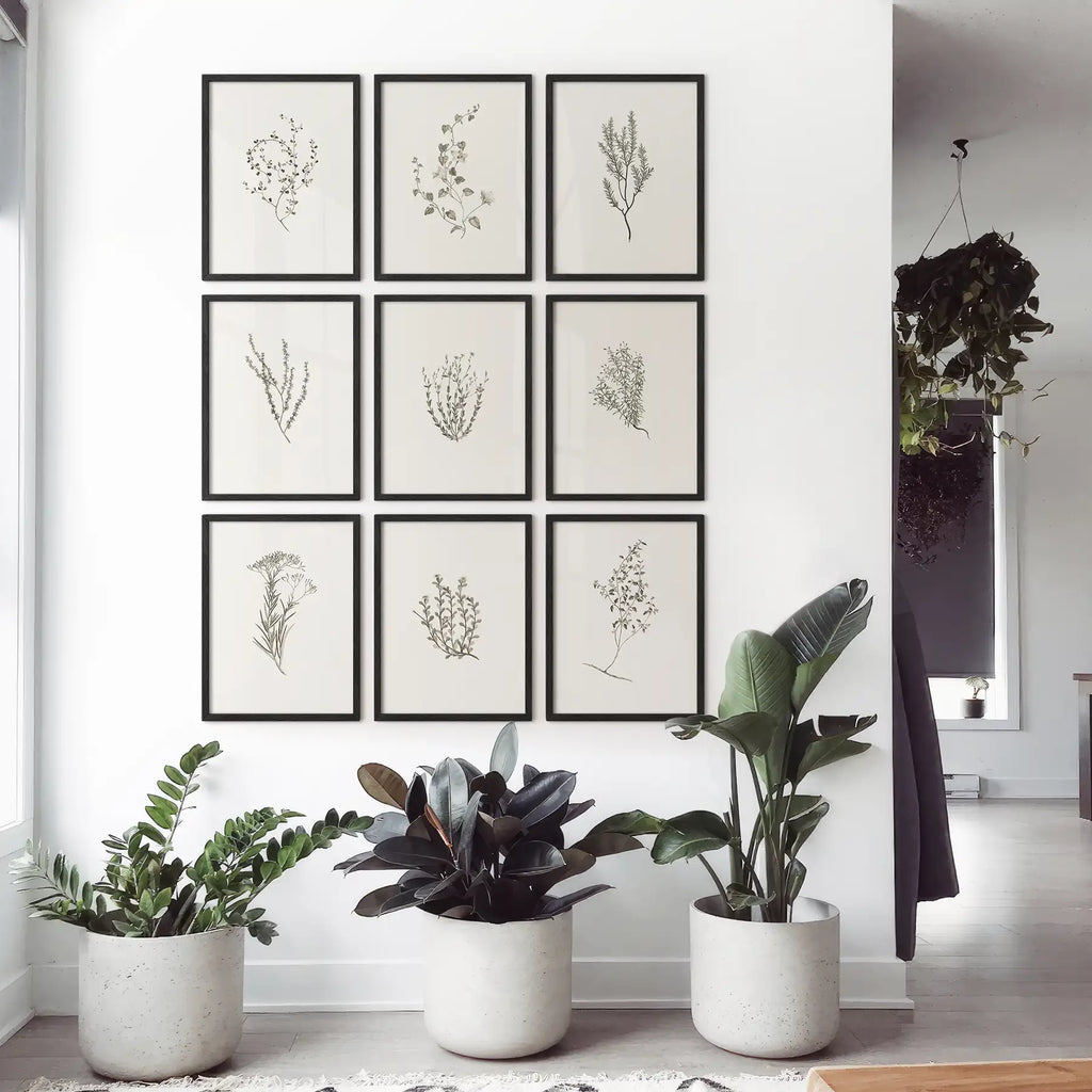 Botanical Wall Art Set of 9. Vintage Herbal Plant Prints