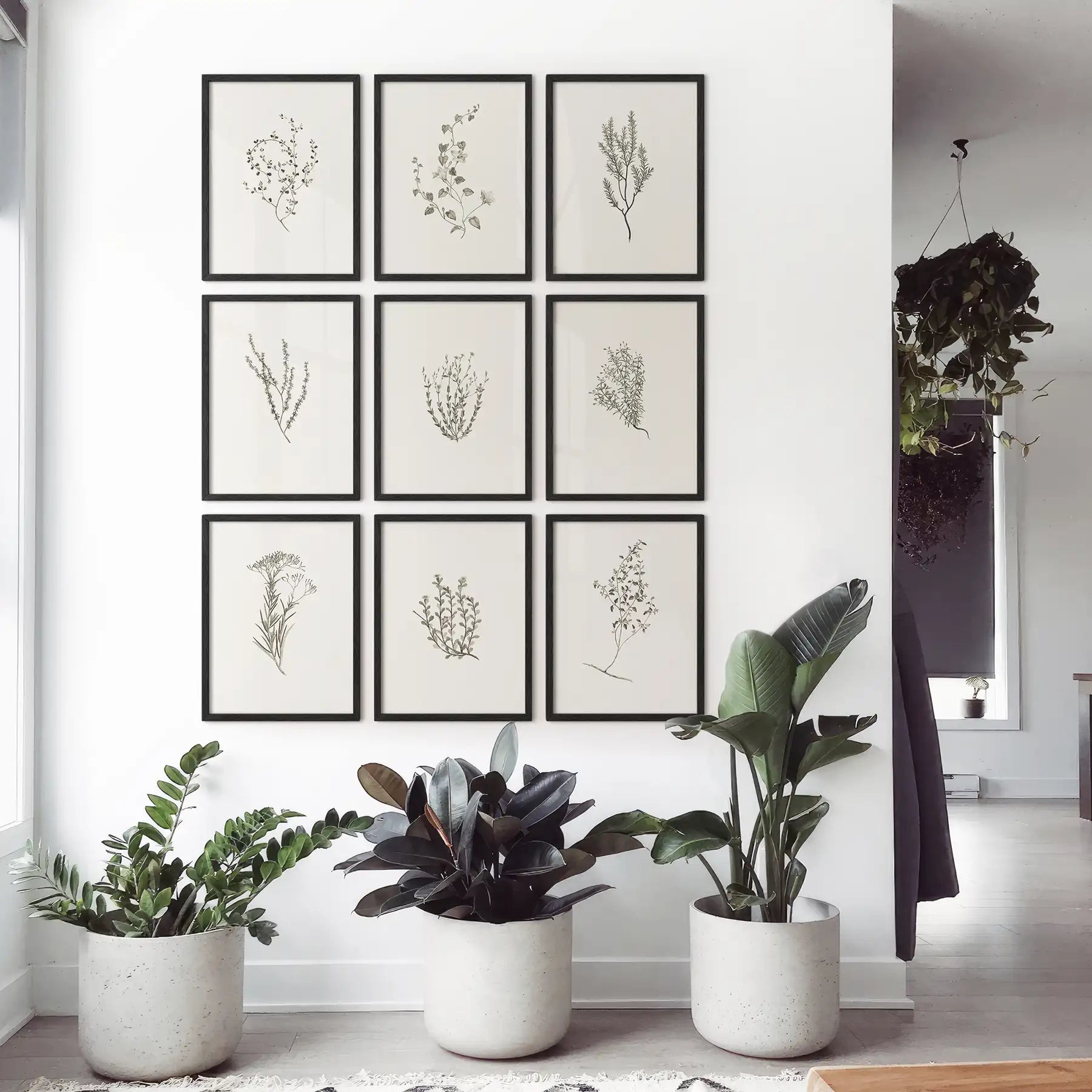 Botanical Wall Art Set of 9. Vintage Herbal Plant Prints
