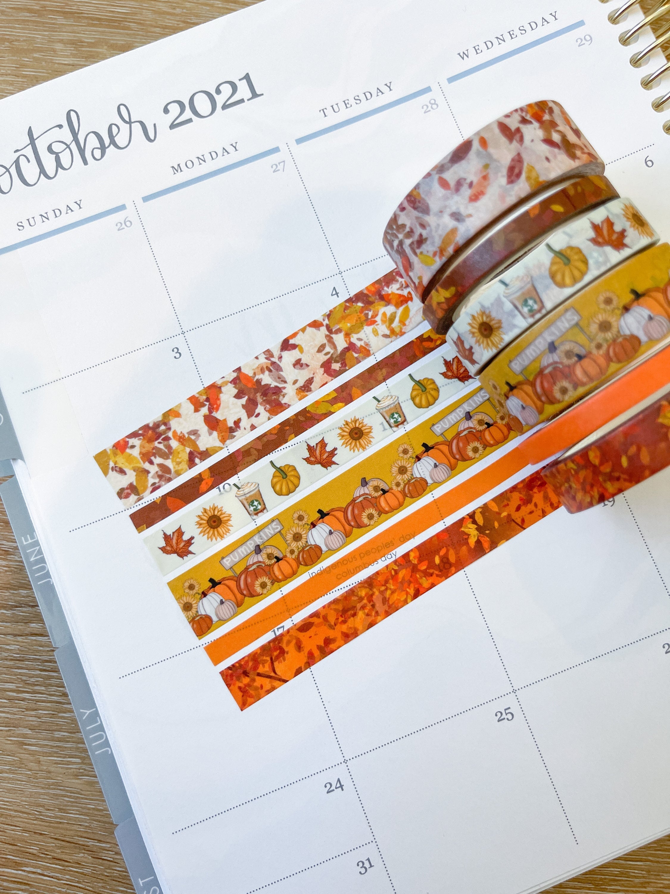 Autumn Leaves Pumpkin Farm Fall Colors Washi Tape Set (#W033)