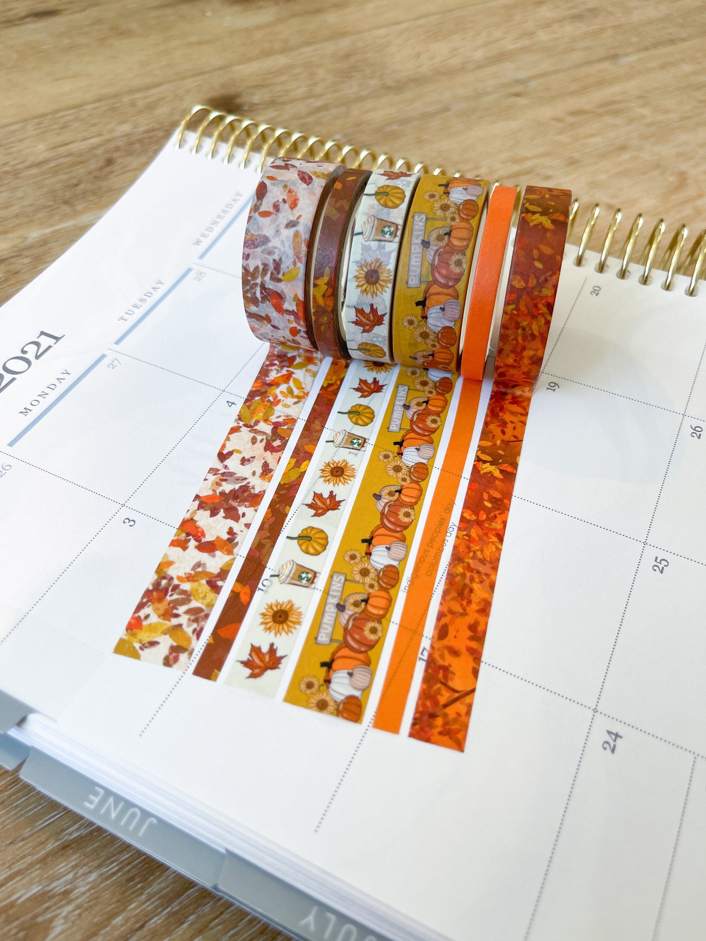 Autumn Leaves Pumpkin Farm Fall Colors Washi Tape Set (#W033)