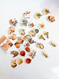 Fall Autumn Die Cut Stickers