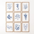 Coastal Nautical Set of 9. Navy Blue Sea Life Prints