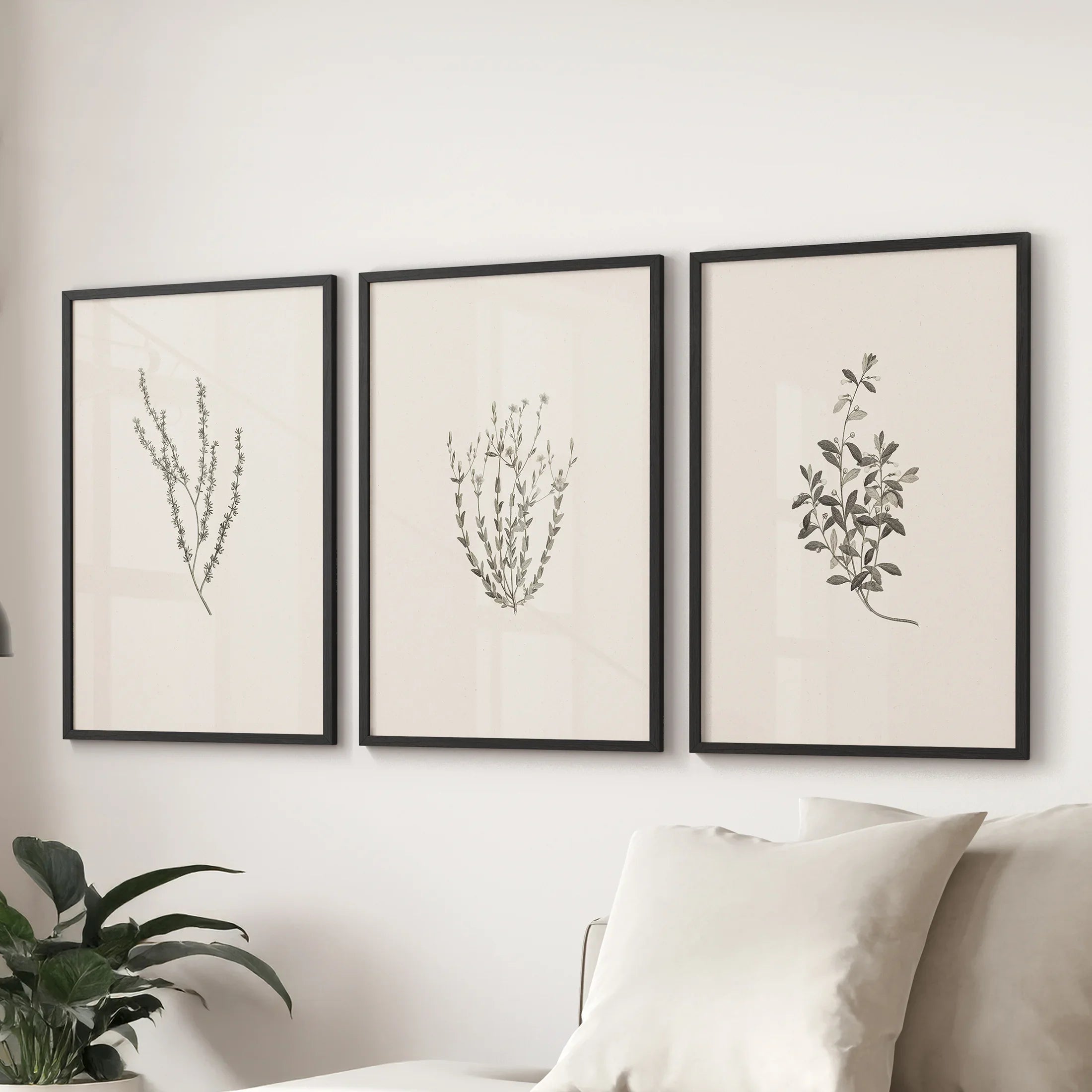 Vintage Botanical 3 Piece Wall Decor. Rustic Dried Flower Prints