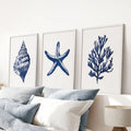 Lobster, Coral, Starfish Print Set. Nautical Set of 3 Wall Art