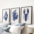 Sea Life Set of 3. Coral, Shell, Lobster Art Poster