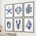 Coastal Set of 6 Art Prints. Shell, Lobster, Starfish, Seaweed