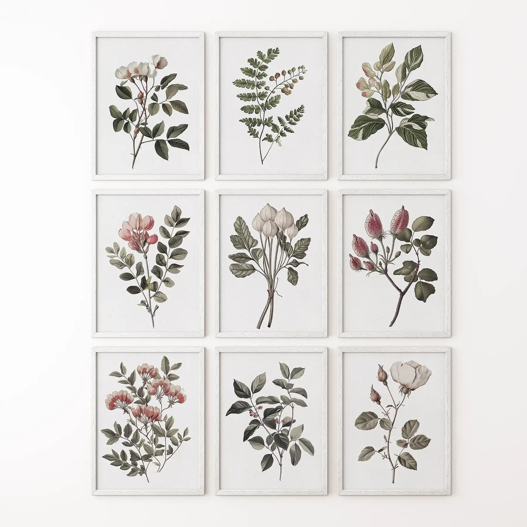 Set of 9 Botanical Posters. Vintage Flowers Wall Art