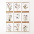 Soft Botanical Watercolor Set of 9 Prints. Wildflower Wall Art