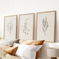 Vintage Dried Flower Wall Art. Set of 3 Rustic Botanical Prints